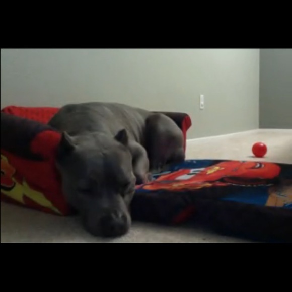 Profile Picture of Pamela Agtarap (@pagtarap2) on Poshmark