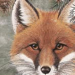 Profile Picture of Richard Nussbaum (@richard.nussbaum.50) on Facebook