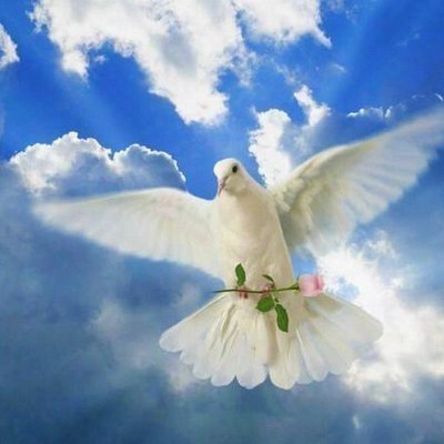 Profile Picture of Jorge  Mirabal R (@JORGEAMIRABALR) on Twitter