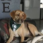 Profile Picture of Sabra Evans (@sabra.evans) on Instagram