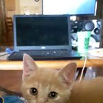 Profile Picture of Dylan Judd (@dylan.judd.549) on Instagram