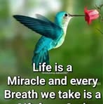 Profile Picture of Afor Sylvester (@Afor-Sylvester) on Facebook