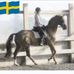Profile Picture of Susanne Handler (@susanne.handler.359) on Facebook