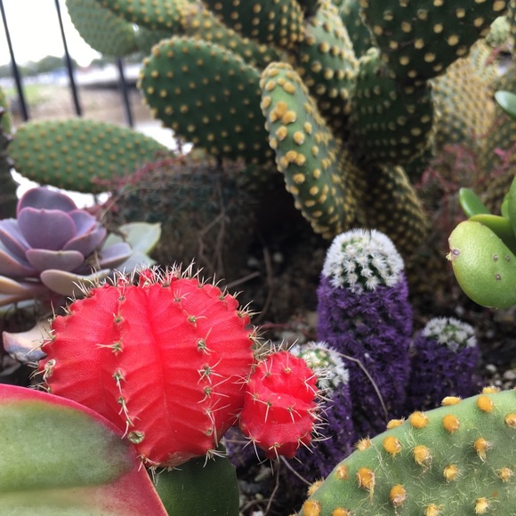 Profile Picture of Shelly Leifrig (@shellyleifrig) on Poshmark