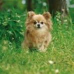 Profile Picture of Geoffrey Hack (@amelie.lison.56) on Facebook