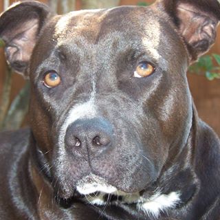 Profile Picture of Sean Custer (@sean.custer.1) on Facebook