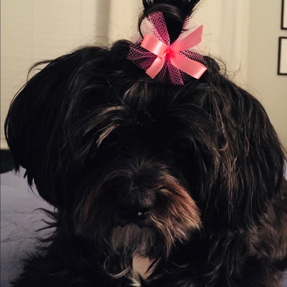 Profile Picture of Kaylee Casebere (@kayleecasebere) on Poshmark