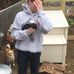 Profile Picture of Chris Devlin (@chris.devlin.1610) on Facebook