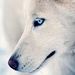 Profile Picture of Aaron Mcphee (@aaronmcphee2000) on Pinterest