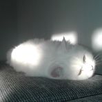 Profile Picture of Julian Frühwald (@Julian-Frühwald) on Facebook