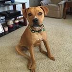 Profile Picture of Janet Thacker Pritchett (@thackerpritchett) on Instagram