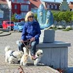 Profile Picture of Renate Wilde (@renate.wilde.rw) on Instagram