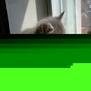 Profile Picture of Mathew Horton (@118611140) on Myspace