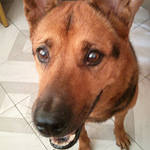 Profile Picture of Yuen Yu Tong (@Capricornyu) on Flickr