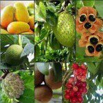 Profile Picture of kimone (@kimonecampbell3267) on Instagram