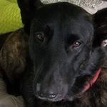 Profile Picture of Grant Payne (@flushyboi) on Instagram