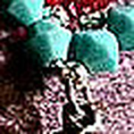 Profile Picture of Amber Wallace (@purple haze jewelry) on Flickr