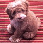 Profile Picture of Patty Keller (@wilsons.mom) on Instagram