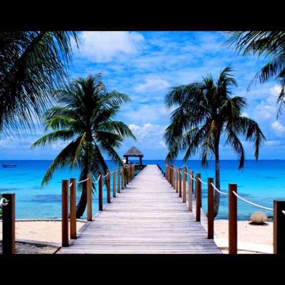 Profile Picture of Stacey Pappas (@staceypaps) on Poshmark