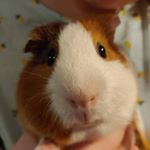 Profile Picture of Amelia Stout (@milli.hope) on Instagram