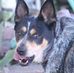 Profile Picture of Charles Jeffries (@charles.jeffries.5) on Facebook