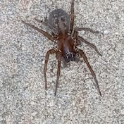 Profile Picture of Mark Pastore (@markpastore9074) on Youtube