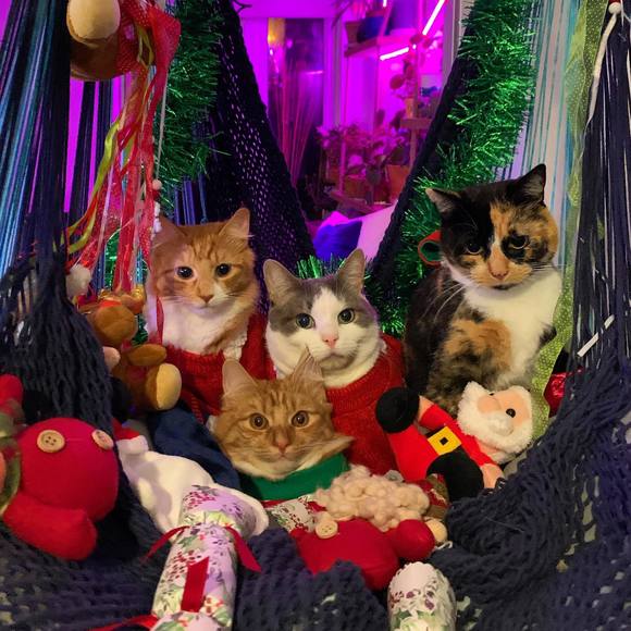 Profile Picture of Debora Sharafat (@deborasharafat) on Poshmark