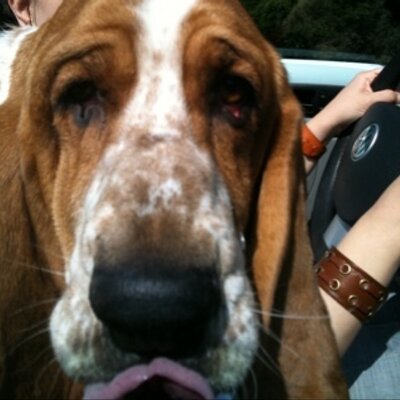 Profile Picture of Tom Lomax (@a_Mr_Tom_Lomax) on Twitter