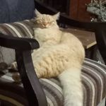 samar daoud - Instagram Profile Picture of samar daoud (@samardaoud6) on Instagram