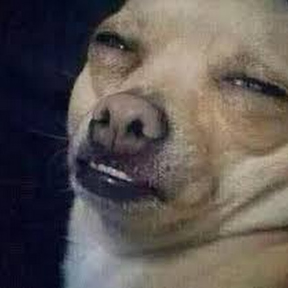 Profile Picture of Cory Baxter (@mmkay_la) on Poshmark