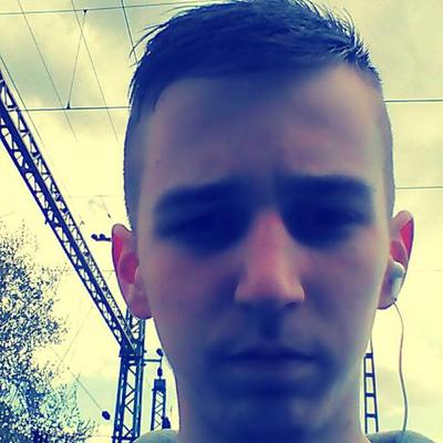 Profile Picture of Haluska Dávid (@Haluska8) on Twitter