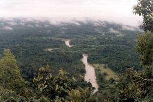 Profile Picture of Môa Riveron Wikipedia