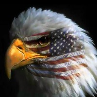 Profile Picture of Eddie Shell (@eddie-shell-3) on Quora