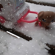 Profile Picture of Rhonda Cumbess (@rhondacumbess7885) on Youtube