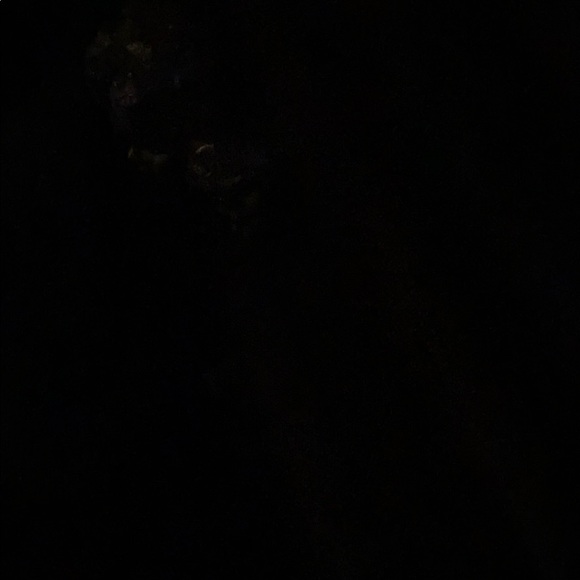 Profile Picture of Dennis Gorman (@dgorman322) on Poshmark