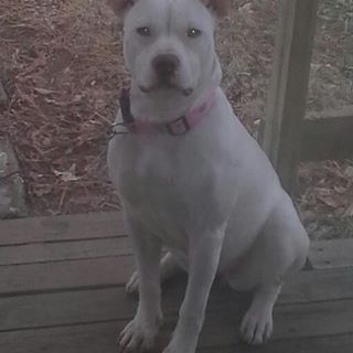 Profile Picture of Christopher Ivie (@Christopher-Ivie) on Facebook