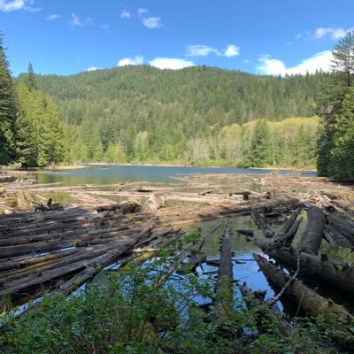 Profile Picture of Kevin Kwok (@kkwok524) on Twitter