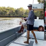 jorge carrera - Instagram Profile Picture of jorge carrera (@jorgeic271) on Instagram