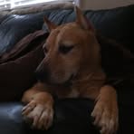 Profile Picture of Melissa Stacks (@melissa.stacks.3) on Facebook