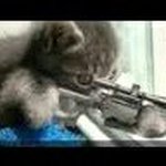 Profile Picture of julian (@145julian.dippold13) on Instagram