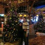 Profile Picture of Alice Carrasquillo Cruz (@a1carrasquillo) on Instagram