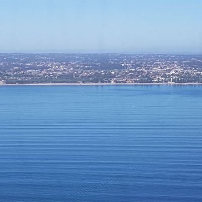 Profile Picture of Jason Berger (@mendyfc) on Twitter