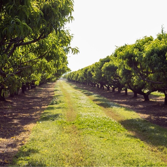 Profile Picture of Jen Cranford (@jenna_cranford) on Poshmark