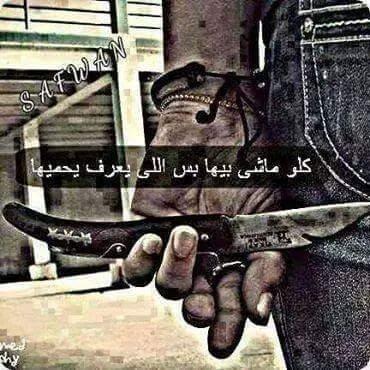 Profile Picture of Ahmed Mourad (@ahmedmourad129) on Twitter