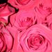 Profile Picture of Susan Skinner (@sissyfox) on Pinterest
