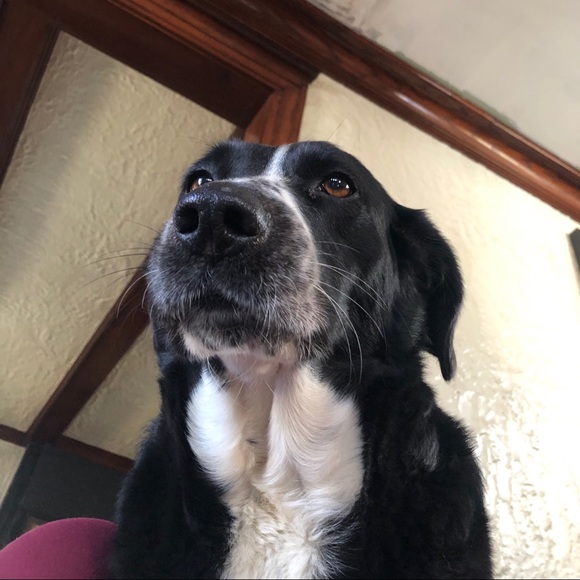 Avery Mccarthy - Poshmark Profile Picture of Avery Mccarthy (@averymccarthy) on Poshmark