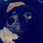 Zane Martin - Instagram Profile Picture of Zane Martin (@royalty_is_loyalty2838) on Instagram