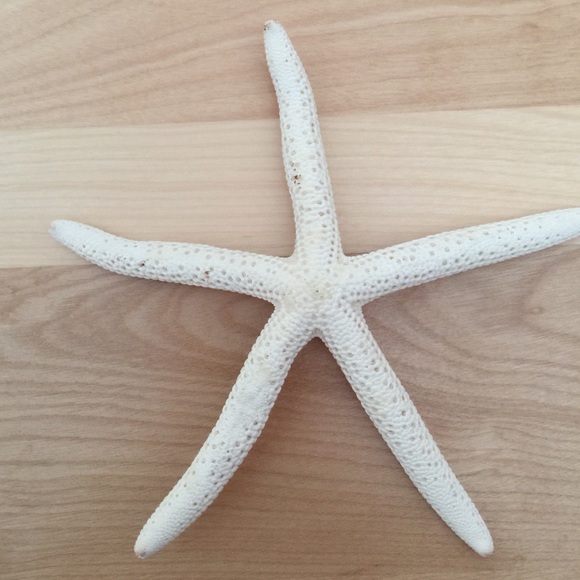 Profile Picture of Yvone Rego (@rosiescloset9) on Poshmark