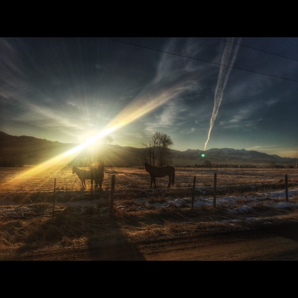 Profile Picture of April Bradshaw (@gyngerdawn) on Poshmark