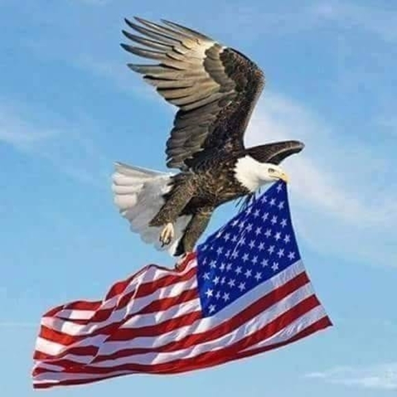 Profile Picture of Alberto Fuentes (@alberto_fuentes) on Poshmark